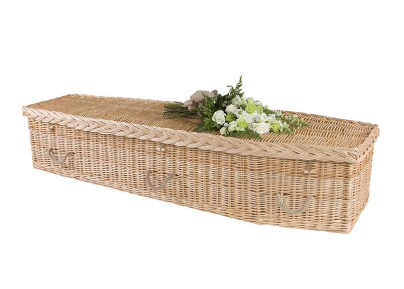 WillowTraditional
