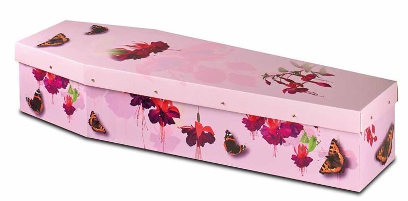 CARDBOARD BUTTERFLIES